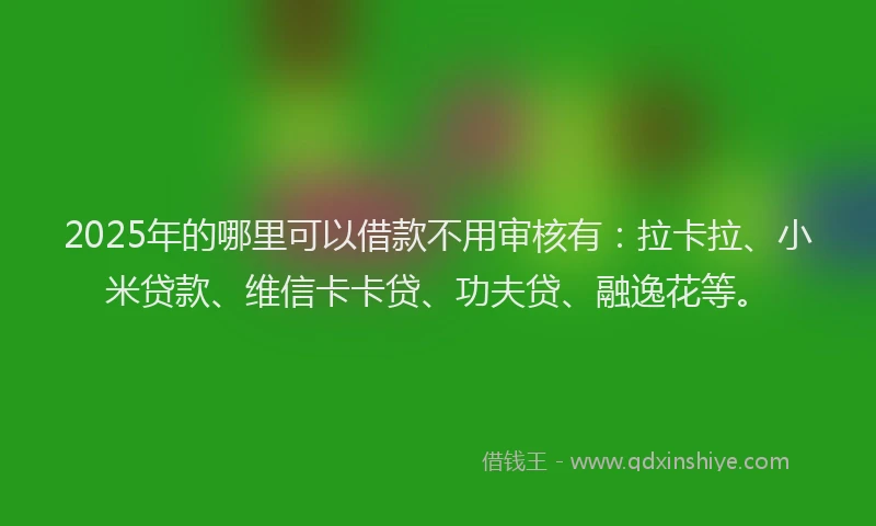 2025年的哪里可以借款不用审核有：拉卡拉、小米贷款、维信卡卡贷、功夫贷、融逸花等。