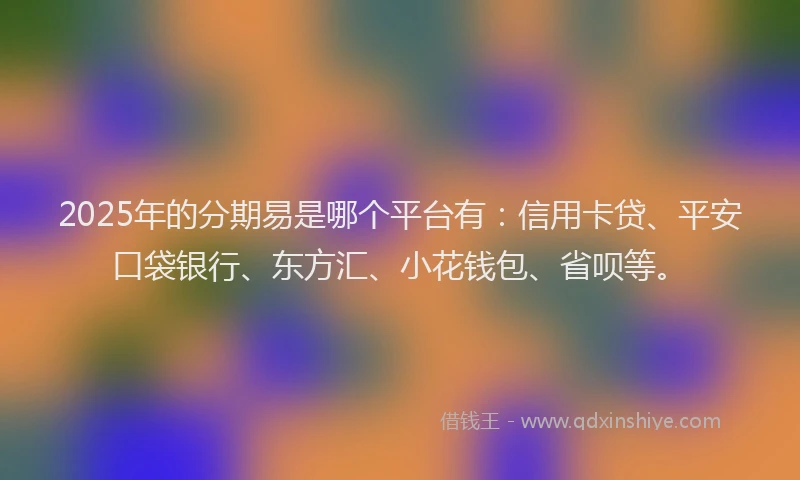 2025年的分期易是哪个平台有：信用卡贷、平安口袋银行、东方汇、小花钱包、省呗等。