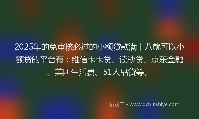 2025年的免审核必过的小额贷款满十八就可以小额贷的平台有：维信卡卡贷、读秒贷、京东金融、美团生活费、51人品贷等。