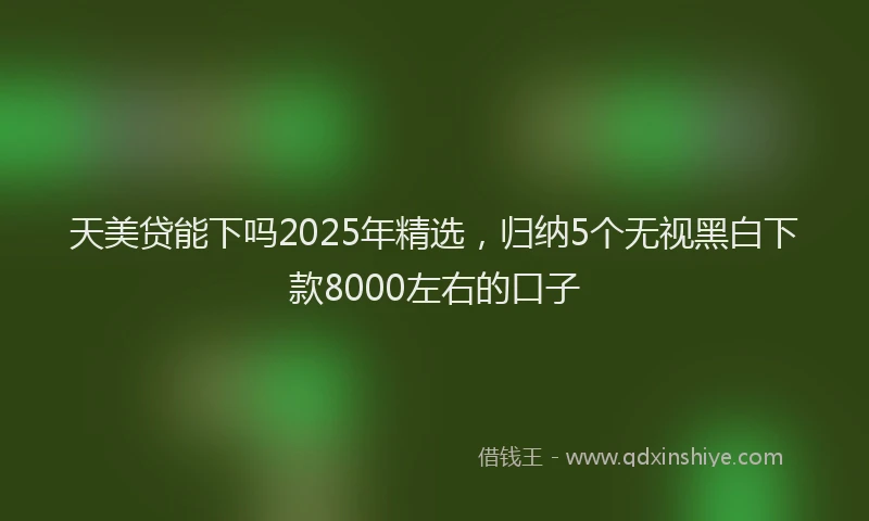 天美贷能下吗2025年精选，归纳5个无视黑白下款8000左右的口子