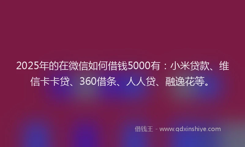 2025年的在微信如何借钱5000有：小米贷款、维信卡卡贷、360借条、人人贷、融逸花等。