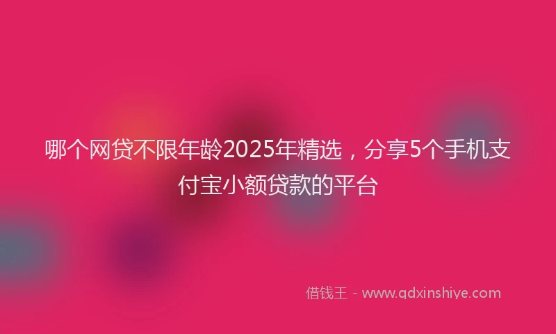 哪个网贷不限年龄2025年精选，分享5个手机支付宝小额贷款的平台