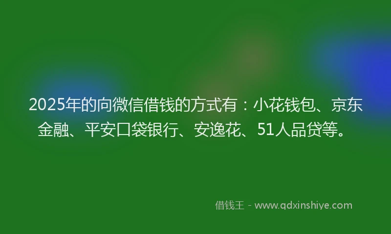 2025年的向微信借钱的方式有：小花钱包、京东金融、平安口袋银行、安逸花、51人品贷等。