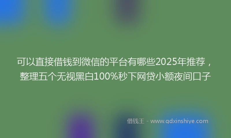 可以直接借钱到微信的平台有哪些2025年推荐，整理五个无视黑白100%秒下网贷小额夜间口子