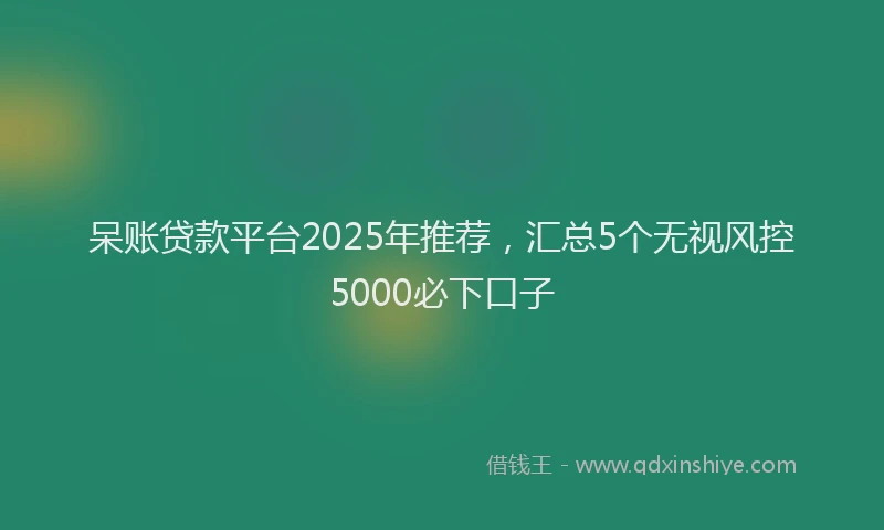 呆账贷款平台2025年推荐，汇总5个无视风控5000必下口子