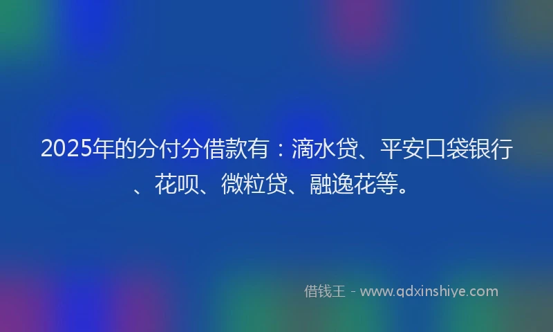 2025年的分付分借款有：滴水贷、平安口袋银行、花呗、微粒贷、融逸花等。
