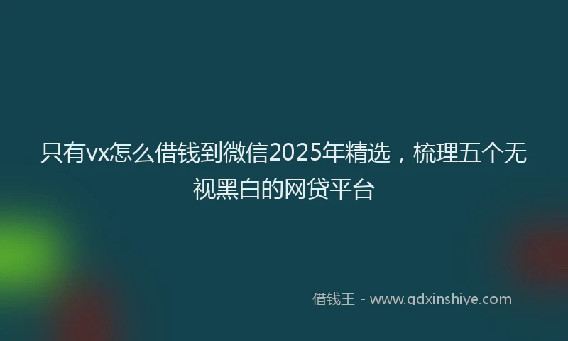 只有vx怎么借钱到微信2025年精选，梳理五个无视黑白的网贷平台