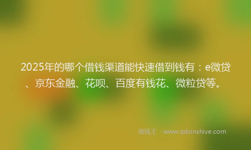 2025年的哪个借钱渠道能快速借到钱有：e微贷、京东金融、花呗、百度有钱花、微粒贷等。