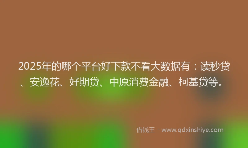 2025年的哪个平台好下款不看大数据有：读秒贷、安逸花、好期贷、中原消费金融、柯基贷等。