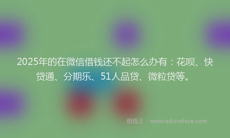 2025年的在微信借钱还不起怎么办有：花呗、快贷通、分期乐、51人品贷、微粒贷等。