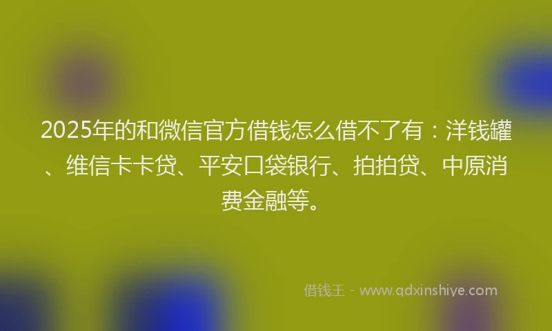 2025年的和微信官方借钱怎么借不了有：洋钱罐、维信卡卡贷、平安口袋银行、拍拍贷、中原消费金融等。