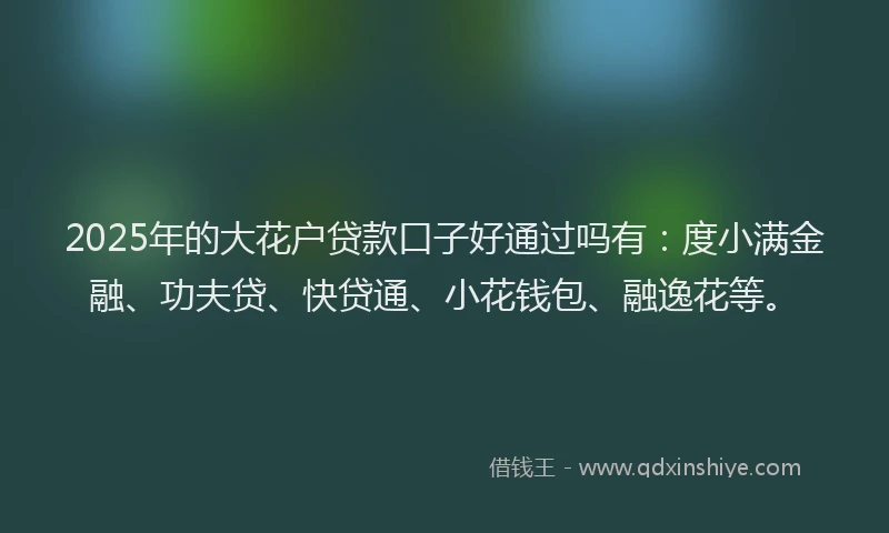 2025年的大花户贷款口子好通过吗有：度小满金融、功夫贷、快贷通、小花钱包、融逸花等。