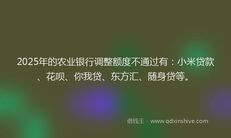2025年的农业银行调整额度不通过有：小米贷款、花呗、你我贷、东方汇、随身贷等。