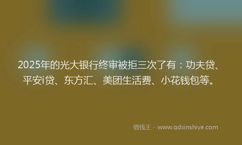2025年的光大银行终审被拒三次了有：功夫贷、平安i贷、东方汇、美团生活费、小花钱包等。