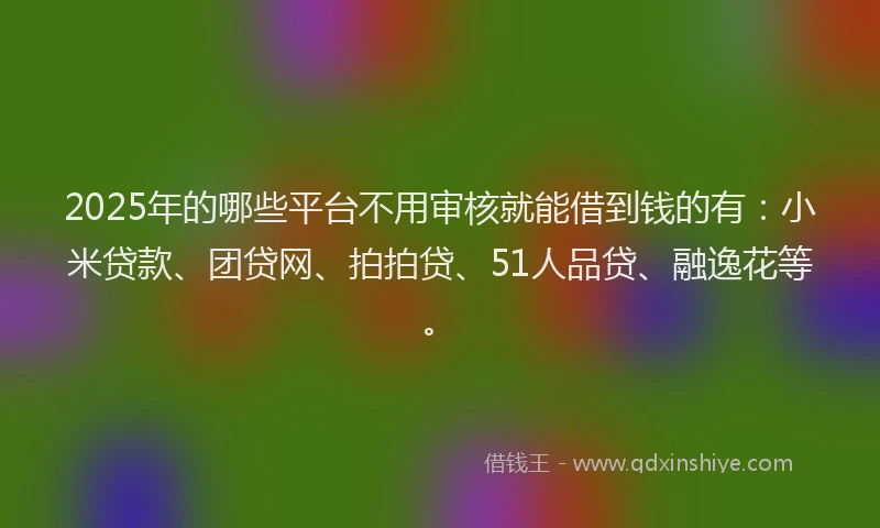 2025年的哪些平台不用审核就能借到钱的有：小米贷款、团贷网、拍拍贷、51人品贷、融逸花等。