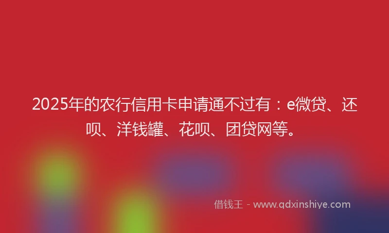 2025年的农行信用卡申请通不过有：e微贷、还呗、洋钱罐、花呗、团贷网等。