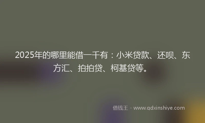 2025年的哪里能借一千有：小米贷款、还呗、东方汇、拍拍贷、柯基贷等。