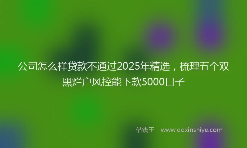 公司怎么样贷款不通过2025年精选，梳理五个双黑烂户风控能下款5000口子