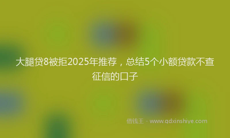 大腿贷8被拒2025年推荐，总结5个小额贷款不查征信的口子