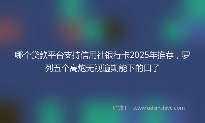 哪个贷款平台支持信用社银行卡2025年推荐，罗列五个高炮无视逾期能下的口子