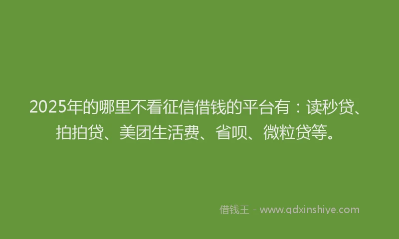 2025年的哪里不看征信借钱的平台有：读秒贷、拍拍贷、美团生活费、省呗、微粒贷等。