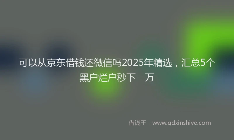 可以从京东借钱还微信吗2025年精选，汇总5个黑户烂户秒下一万