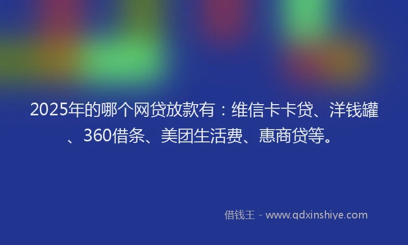 2025年的哪个网贷放款有：维信卡卡贷、洋钱罐、360借条、美团生活费、惠商贷等。