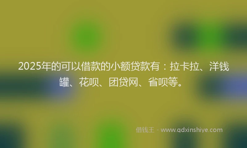 2025年的可以借款的小额贷款有：拉卡拉、洋钱罐、花呗、团贷网、省呗等。