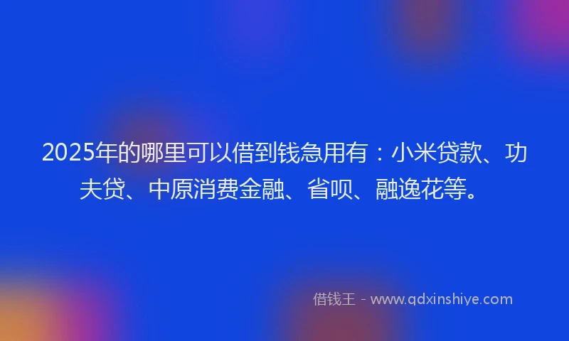 2025年的哪里可以借到钱急用有：小米贷款、功夫贷、中原消费金融、省呗、融逸花等。