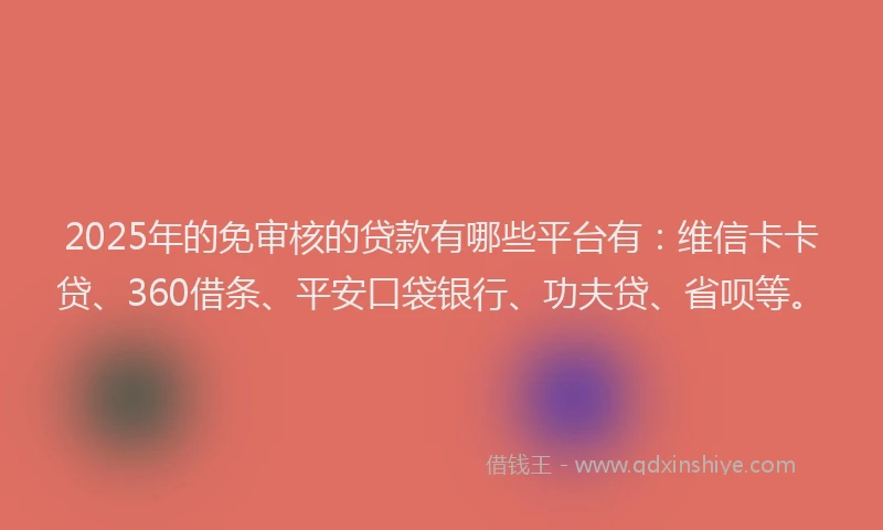 2025年的免审核的贷款有哪些平台有：维信卡卡贷、360借条、平安口袋银行、功夫贷、省呗等。