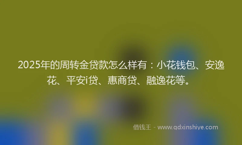 2025年的周转金贷款怎么样有：小花钱包、安逸花、平安i贷、惠商贷、融逸花等。