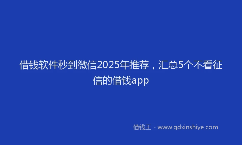 借钱软件秒到微信2025年推荐，汇总5个不看征信的借钱app