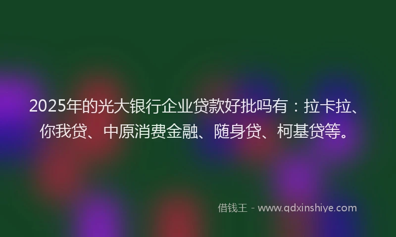 2025年的光大银行企业贷款好批吗有：拉卡拉、你我贷、中原消费金融、随身贷、柯基贷等。
