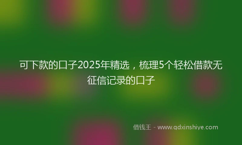 可下款的口子2025年精选，梳理5个轻松借款无征信记录的口子
