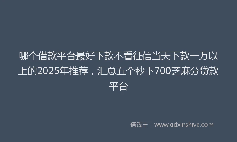 哪个借款平台最好下款不看征信当天下款一万以上的2025年推荐，汇总五个秒下700芝麻分贷款平台