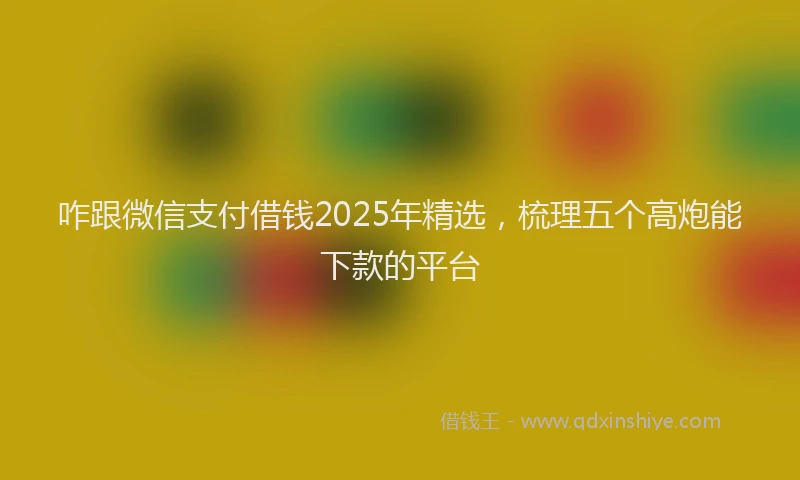 咋跟微信支付借钱2025年精选，梳理五个高炮能下款的平台