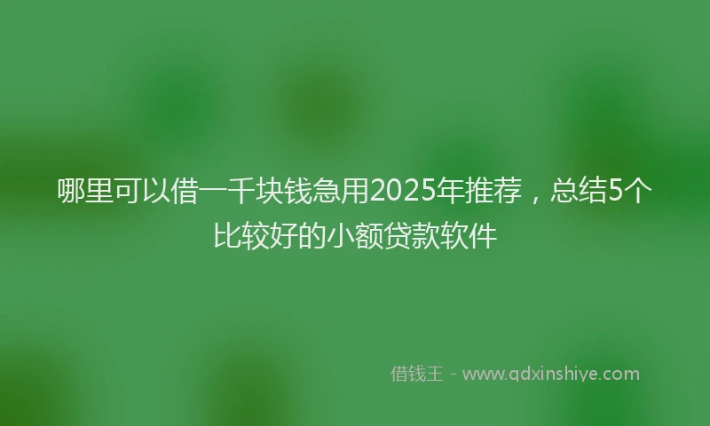 哪里可以借一千块钱急用2025年推荐，总结5个比较好的小额贷款软件