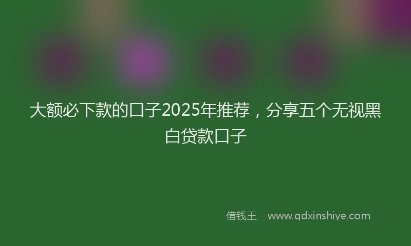 大额必下款的口子2025年推荐，分享五个无视黑白贷款口子