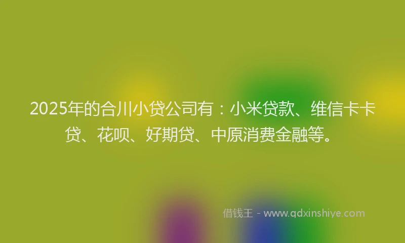 2025年的合川小贷公司有：小米贷款、维信卡卡贷、花呗、好期贷、中原消费金融等。