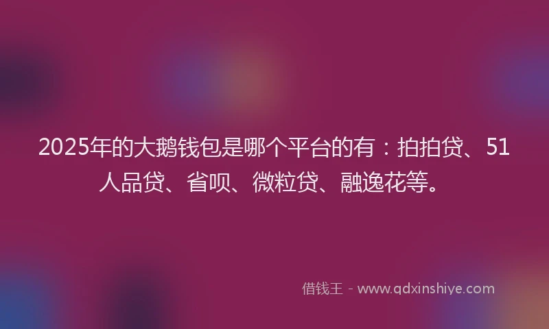 2025年的大鹅钱包是哪个平台的有：拍拍贷、51人品贷、省呗、微粒贷、融逸花等。