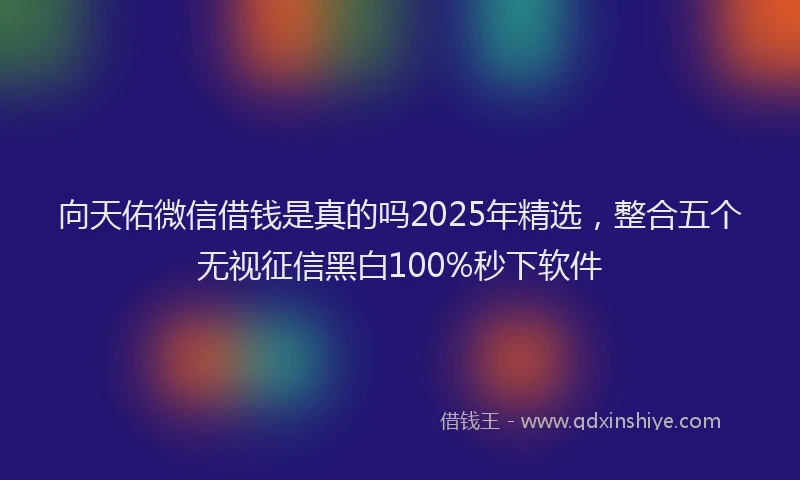 向天佑微信借钱是真的吗2025年精选，整合五个无视征信黑白100%秒下软件