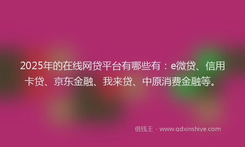 2025年的在线网贷平台有哪些有：e微贷、信用卡贷、京东金融、我来贷、中原消费金融等。