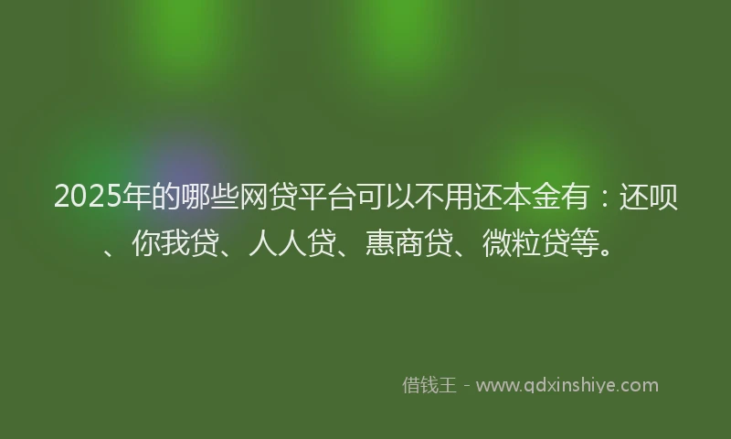 2025年的哪些网贷平台可以不用还本金有：还呗、你我贷、人人贷、惠商贷、微粒贷等。
