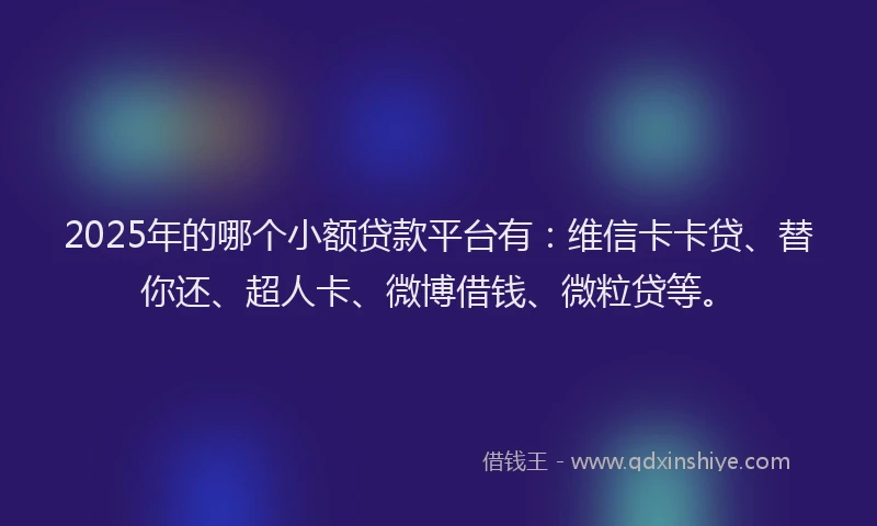 2025年的哪个小额贷款平台有：维信卡卡贷、替你还、超人卡、微博借钱、微粒贷等。