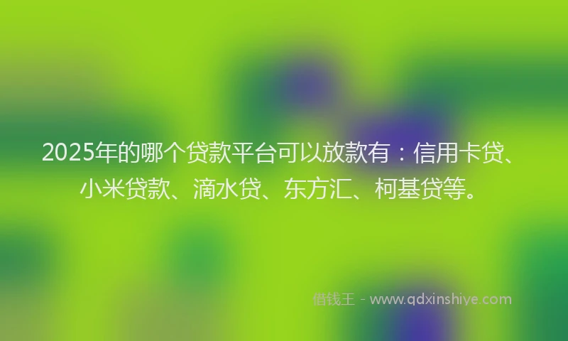 2025年的哪个贷款平台可以放款有：信用卡贷、小米贷款、滴水贷、东方汇、柯基贷等。