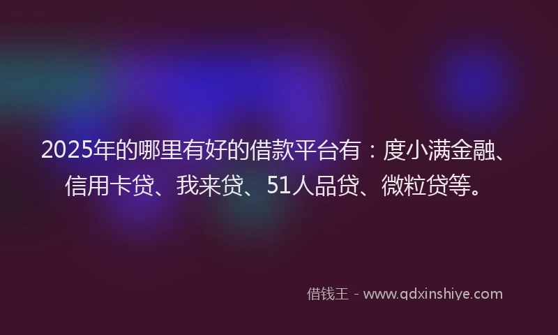 2025年的哪里有好的借款平台有：度小满金融、信用卡贷、我来贷、51人品贷、微粒贷等。