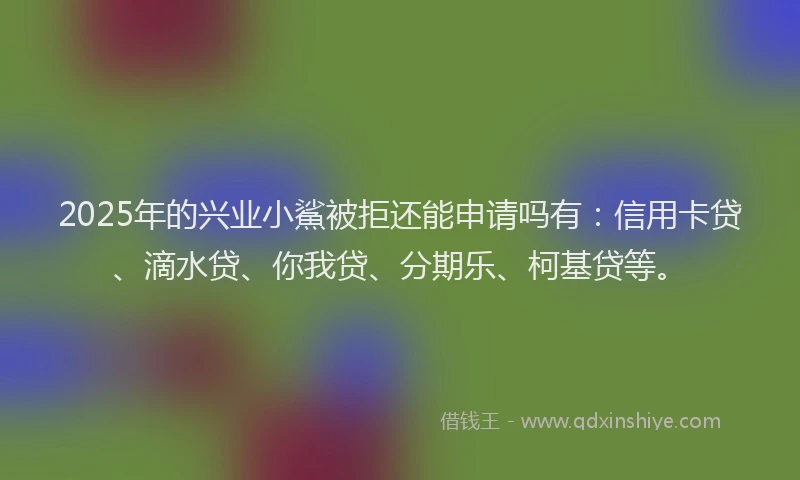 2025年的兴业小鯊被拒还能申请吗有：信用卡贷、滴水贷、你我贷、分期乐、柯基贷等。