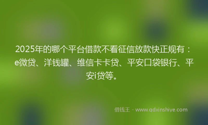 2025年的哪个平台借款不看征信放款快正规有：e微贷、洋钱罐、维信卡卡贷、平安口袋银行、平安i贷等。