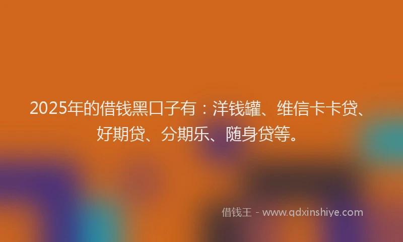 2025年的借钱黑口子有：洋钱罐、维信卡卡贷、好期贷、分期乐、随身贷等。