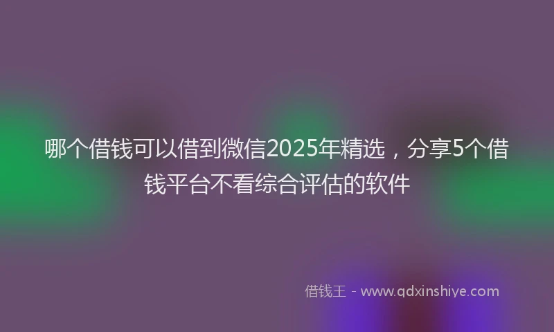 哪个借钱可以借到微信2025年精选，分享5个借钱平台不看综合评估的软件